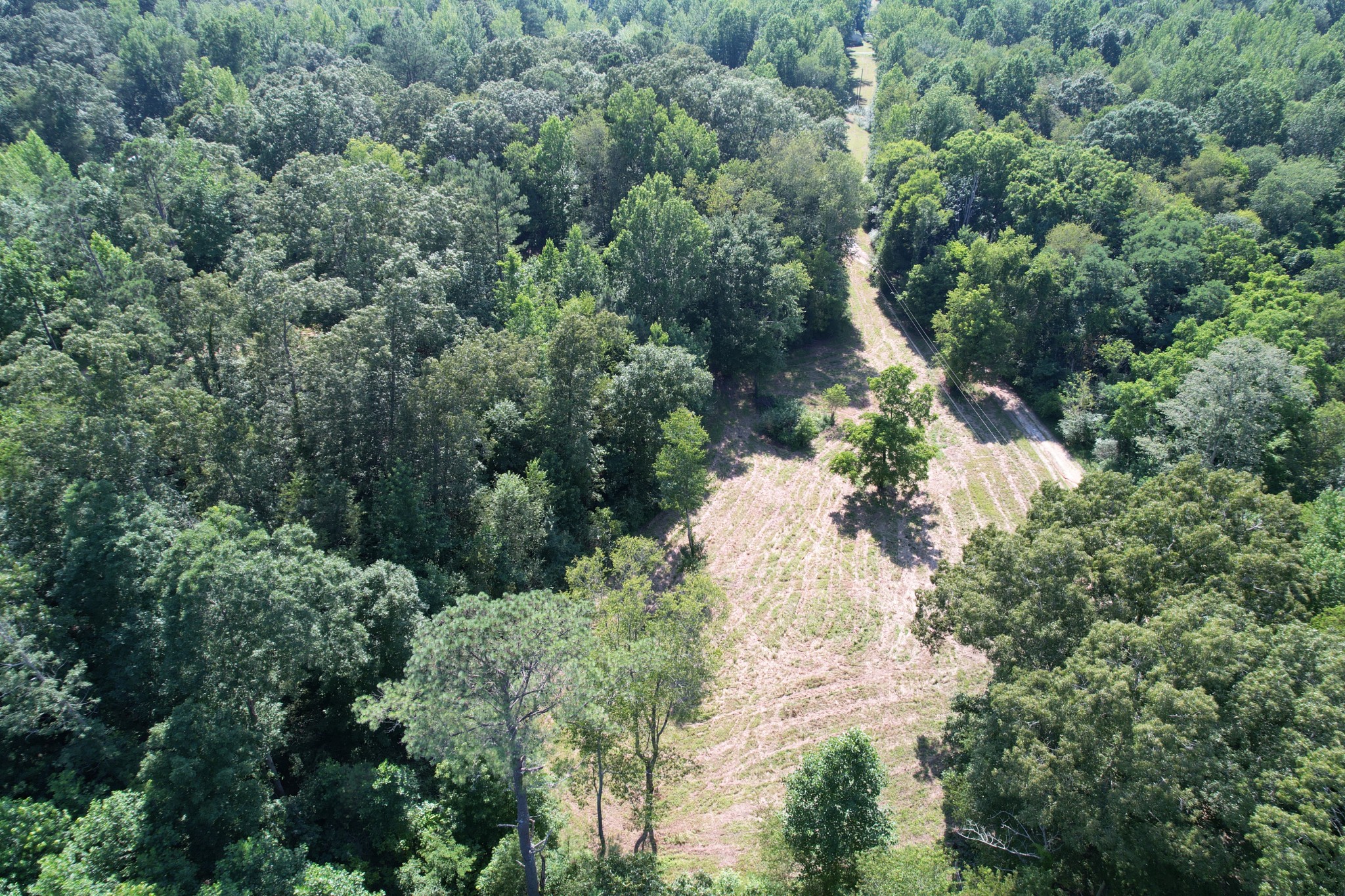 180 Webb Road Summertown, TN 38483 - Photo 22 of 25 an aerial view of a house with a yard and covered with trees