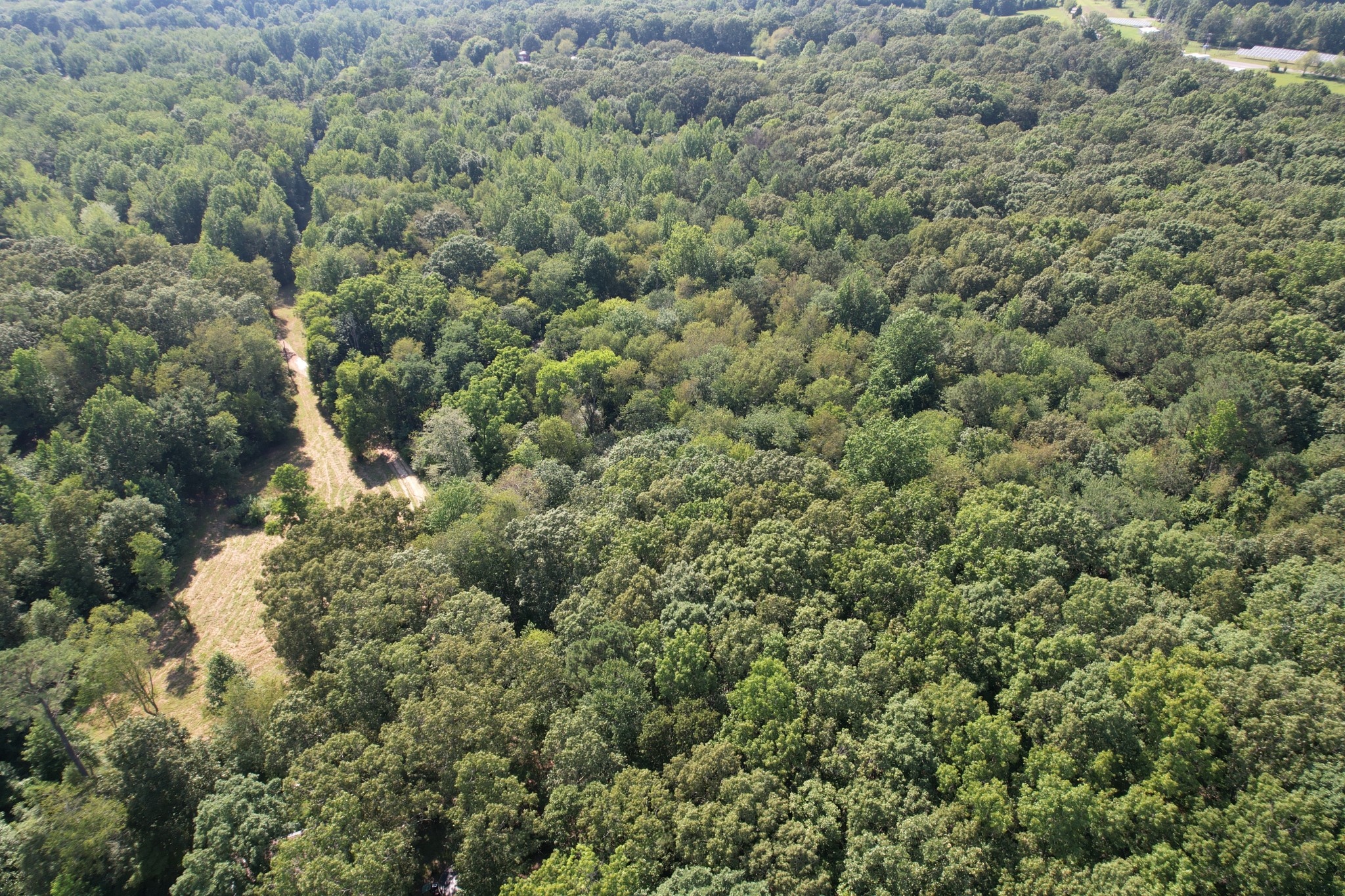 180 Webb Road Summertown, TN 38483 - Photo 25 of 25 a view of a forest with a houses