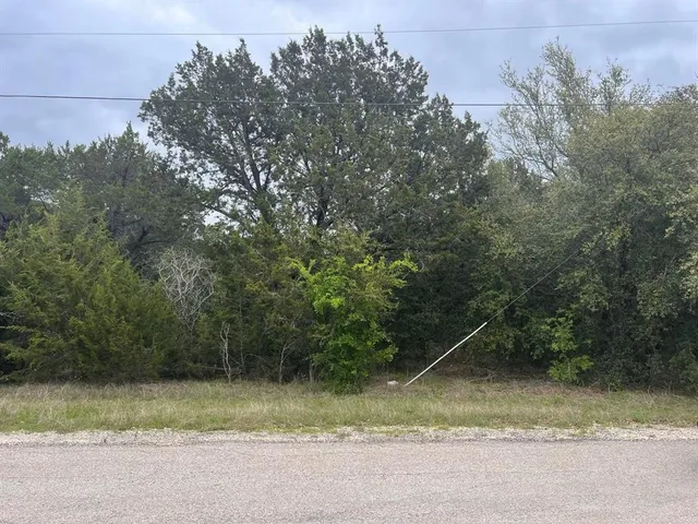 $3,500 | 44028 Fringewood Drive, Whitney, TX 76692