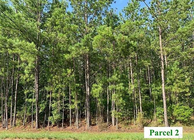 2 Booneville Road Atmore, AL 36502 - Photo 2 of 23