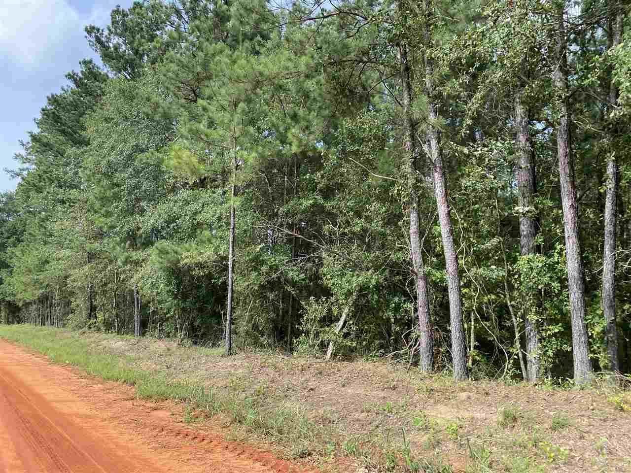 2 Booneville Road Atmore, AL 36502 - Photo 11 of 23