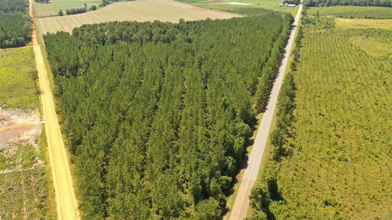 2 Booneville Road Atmore, AL 36502 - Photo 12 of 23
