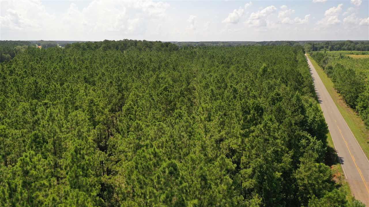 2 Booneville Road Atmore, AL 36502 - Photo 13 of 23