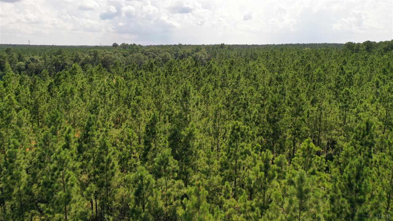 2 Booneville Road Atmore, AL 36502 - Photo 17 of 23