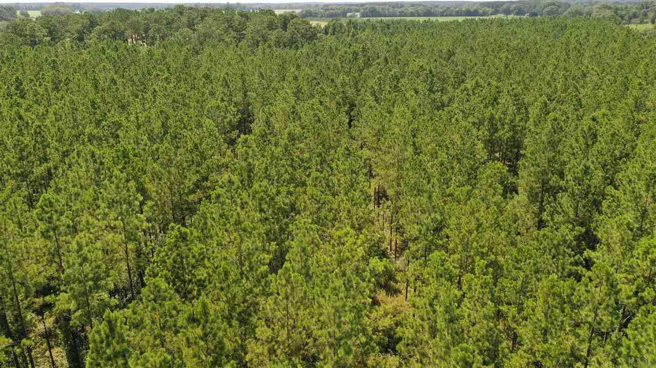 2 Booneville Road Atmore, AL 36502 - Photo 19 of 23