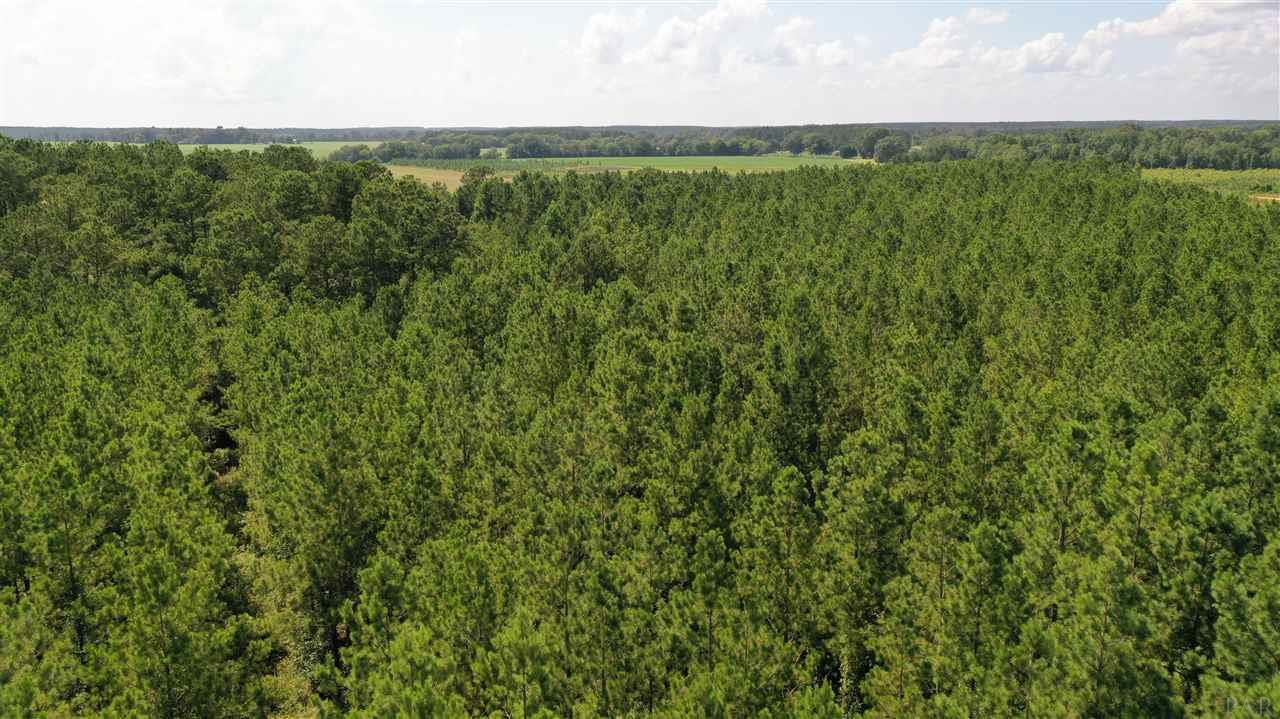 2 Booneville Road Atmore, AL 36502 - Photo 20 of 23