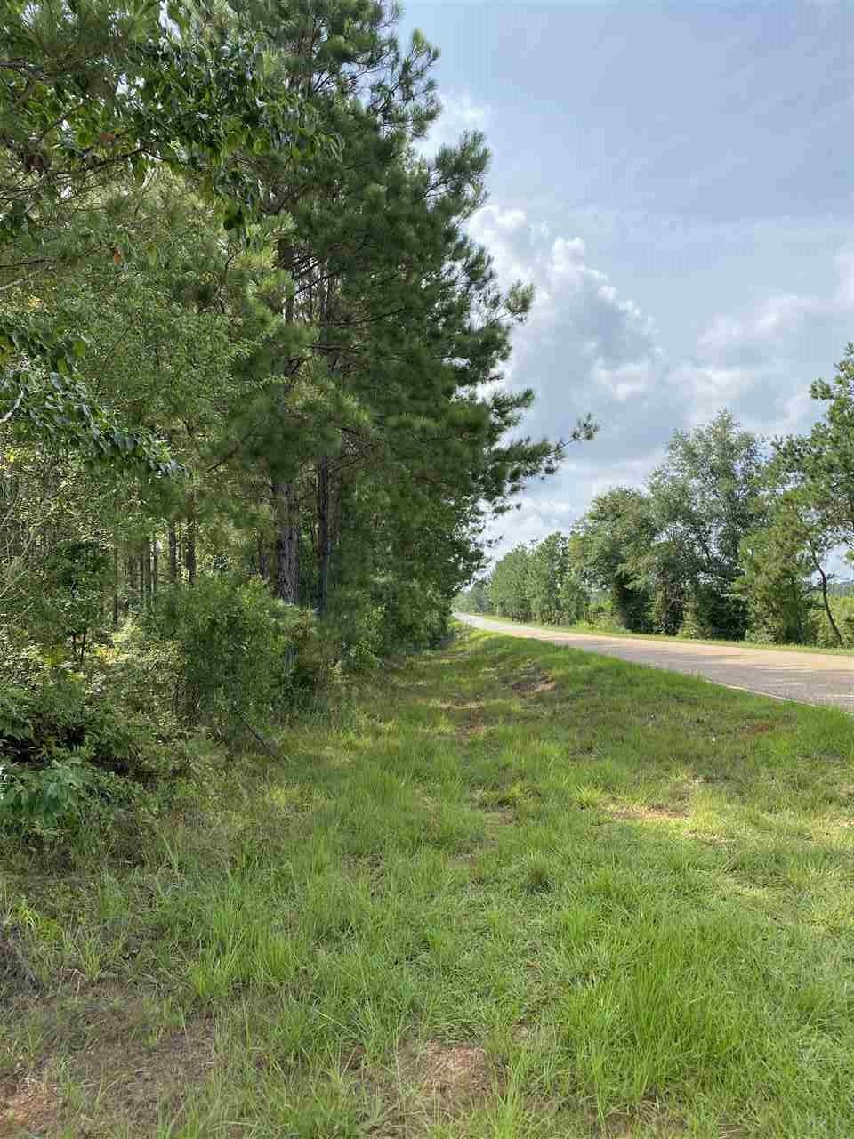 2 Booneville Road Atmore, AL 36502 - Photo 5 of 23
