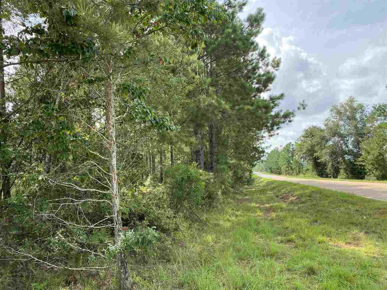 2 Booneville Road Atmore, AL 36502 - Photo 6 of 23