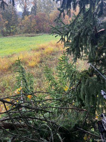 Lot 1 East Clyde Road Howell, MI 48855 - Photo 22 of 29