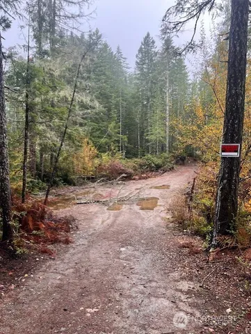a view of a yard with trees