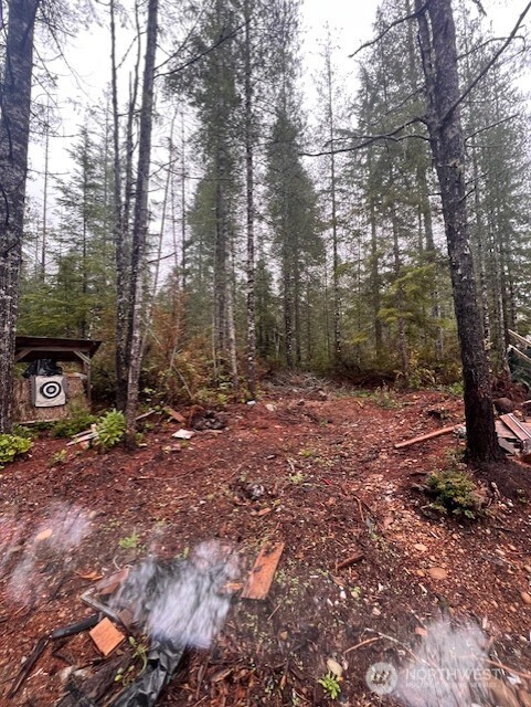 15 Dewatto Hills Road Tahuya, WA 98588 - Photo 13 of 17 a view of a yard with trees