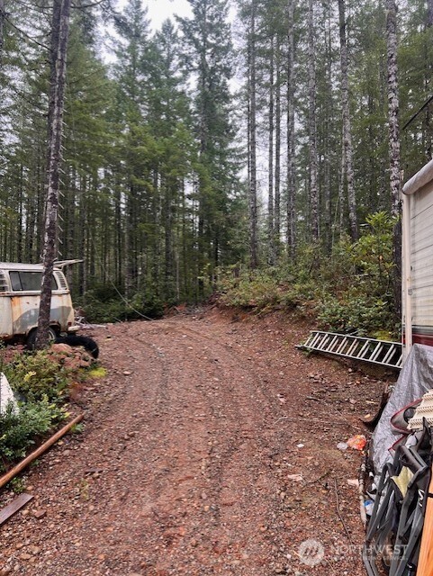 15 Dewatto Hills Road Tahuya, WA 98588 - Photo 14 of 17 a backyard of a house with lots of green space
