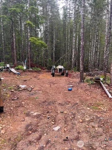a view of a park with large trees and wooden fence