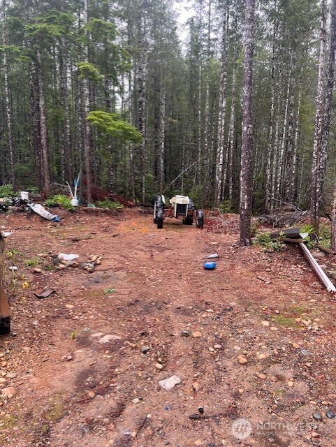 15 Dewatto Hills Road Tahuya, WA 98588 - Photo 15 of 17 a view of a park with large trees and wooden fence
