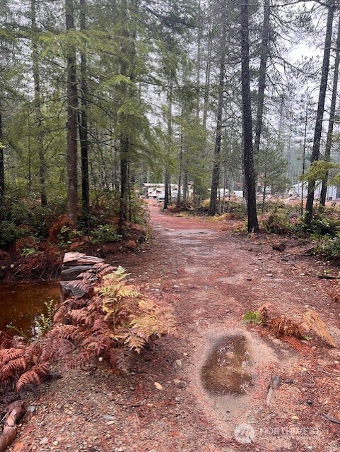15 Dewatto Hills Road Tahuya, WA 98588 - Photo 16 of 17 a backyard of a house with lots of green space