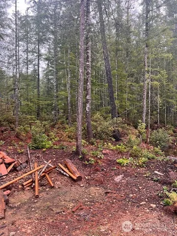 a view of a forest with trees in the background