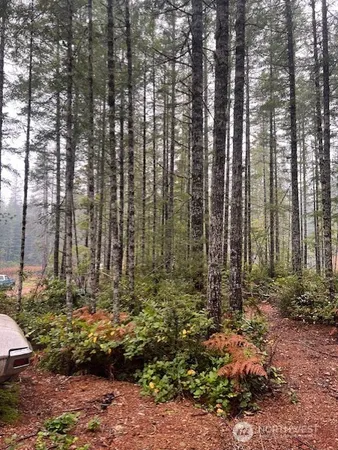 a view of outdoor space and garden