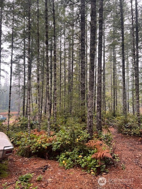 15 Dewatto Hills Road Tahuya, WA 98588 - Photo 4 of 17 a view of outdoor space and garden