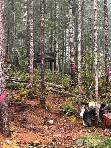 a view of fountain in the backyard