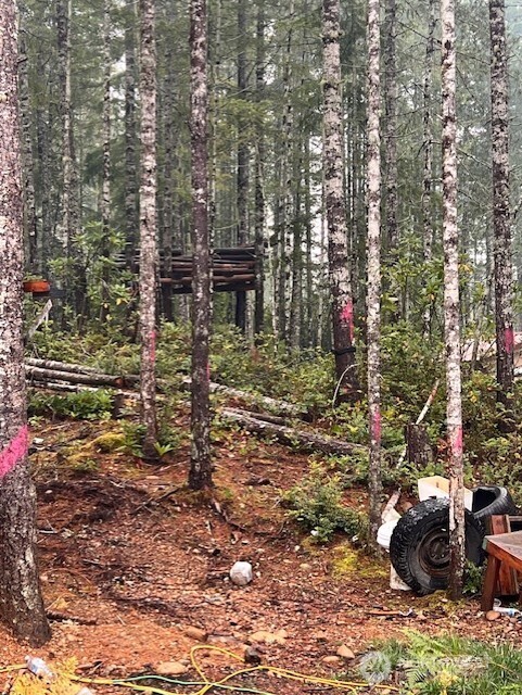 15 Dewatto Hills Road Tahuya, WA 98588 - Photo 6 of 17 a view of fountain in the backyard