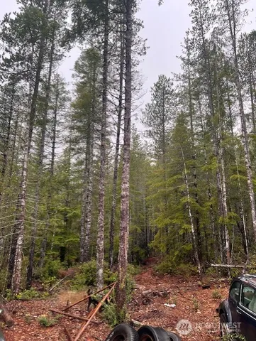 a view of a yard with trees