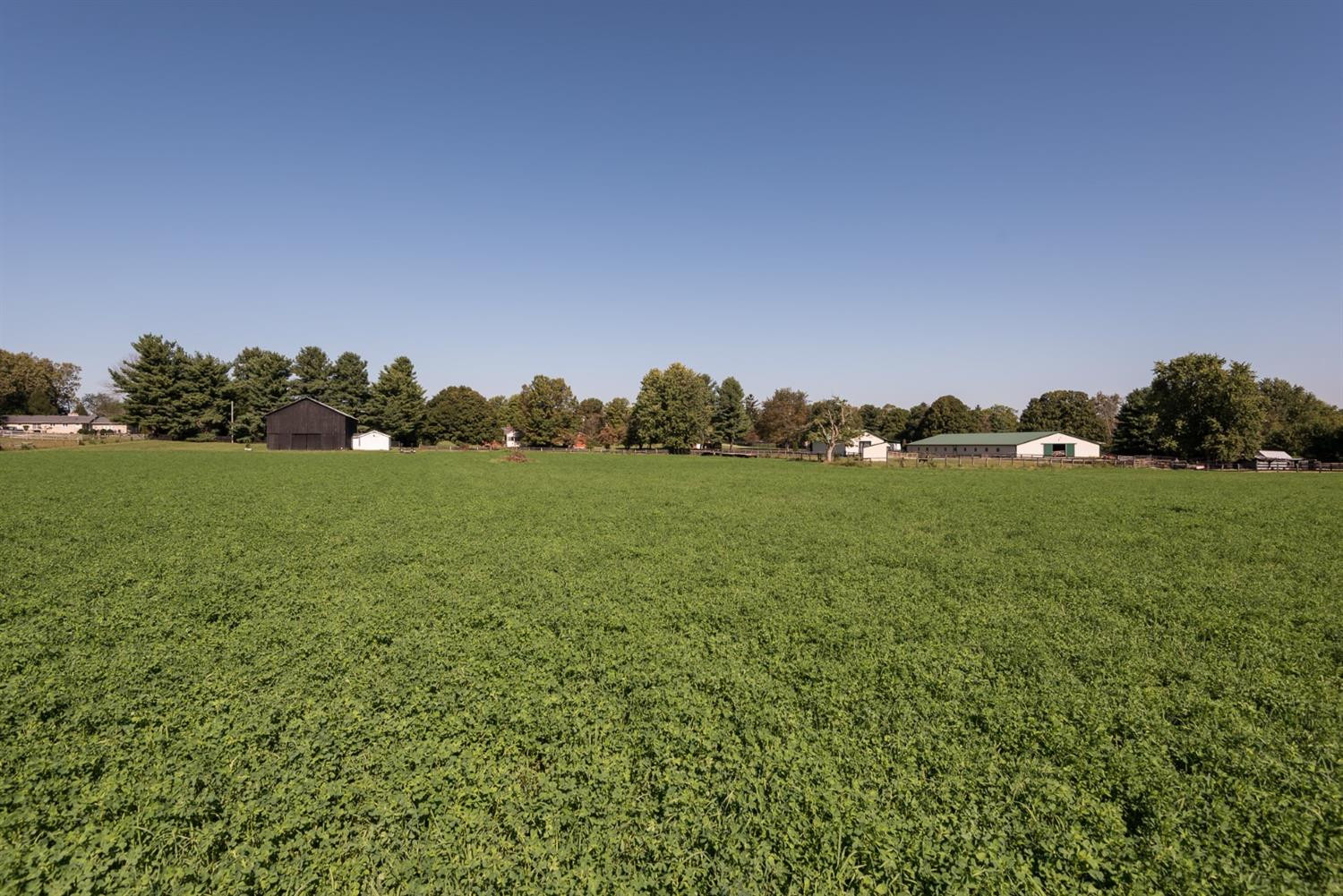 3273 Huntertown Road Versailles, KY 40383 - Photo 39 of 45 Photo 39