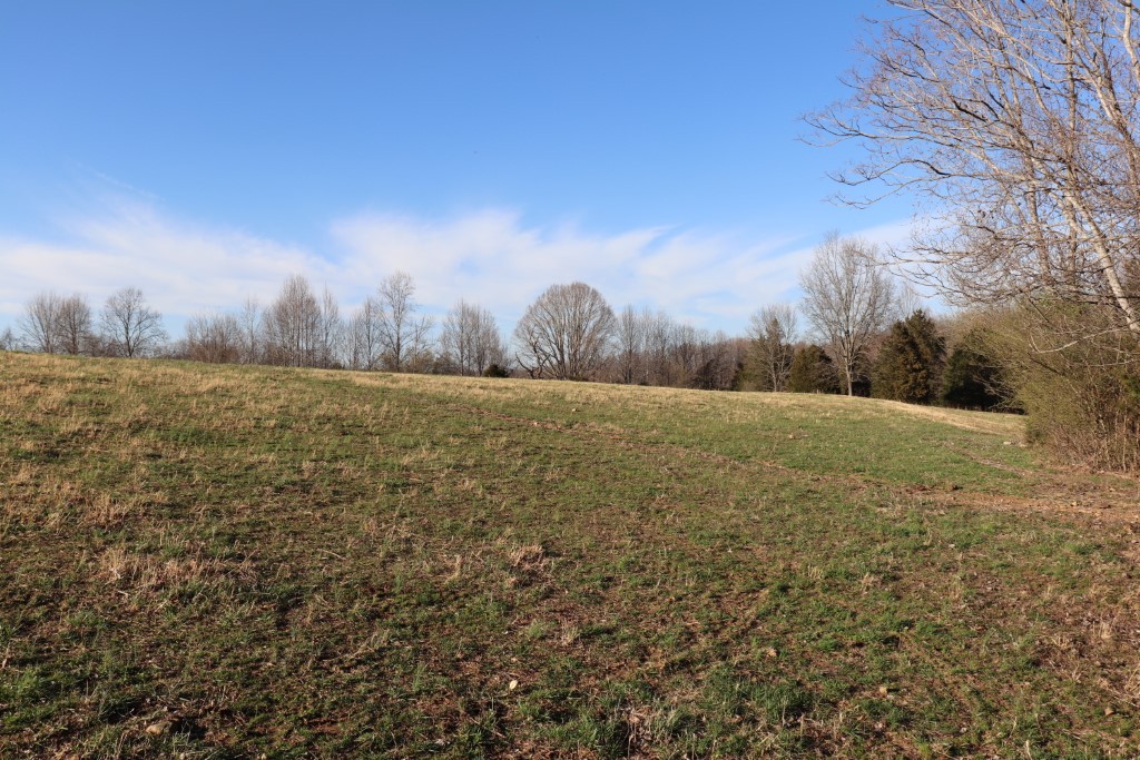 3 Purtle Road Lafayette, TN 37083 - Photo 8 of 9 Gallery Image 8