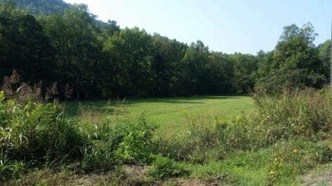 1011 Frost Bottom Road Clinton, TN 37716 - Photo 14 of 27 frostbottomfield