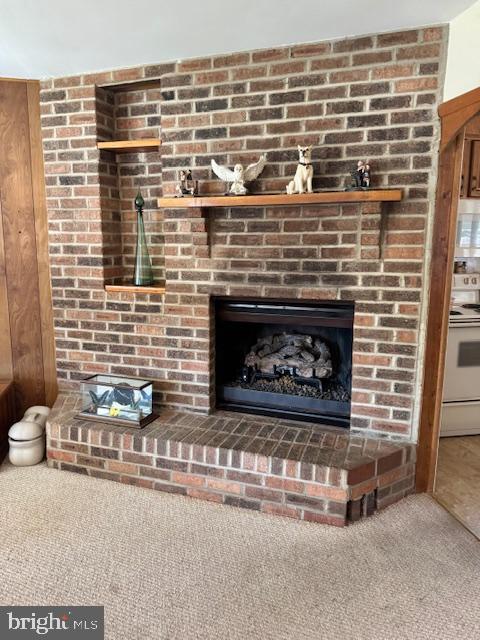 260 Carroll Road Pasadena, MD 21122 - Photo 11 of 29 PROPAN GAS FIREPLACE
