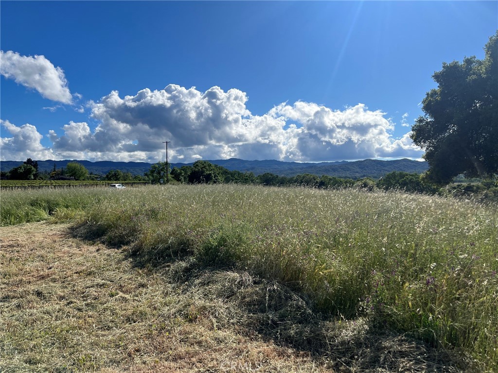 2160 Bell Hill Road Kelseyville, CA 95451 - Photo 12 of 24