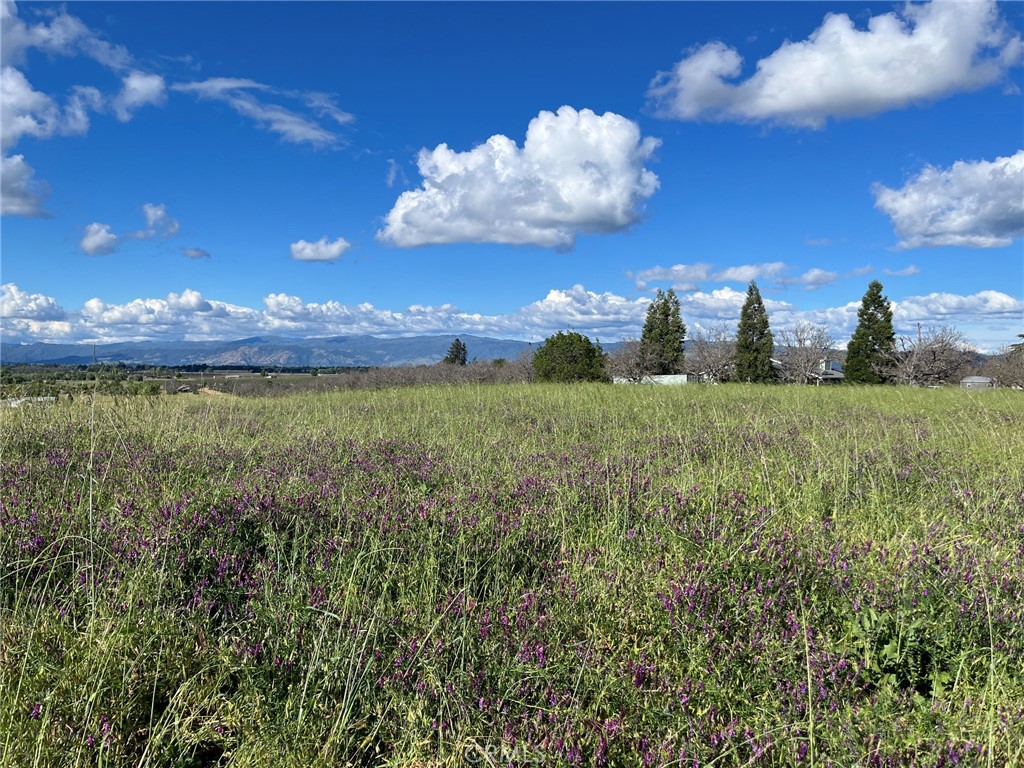 2160 Bell Hill Road Kelseyville, CA 95451 - Photo 13 of 24