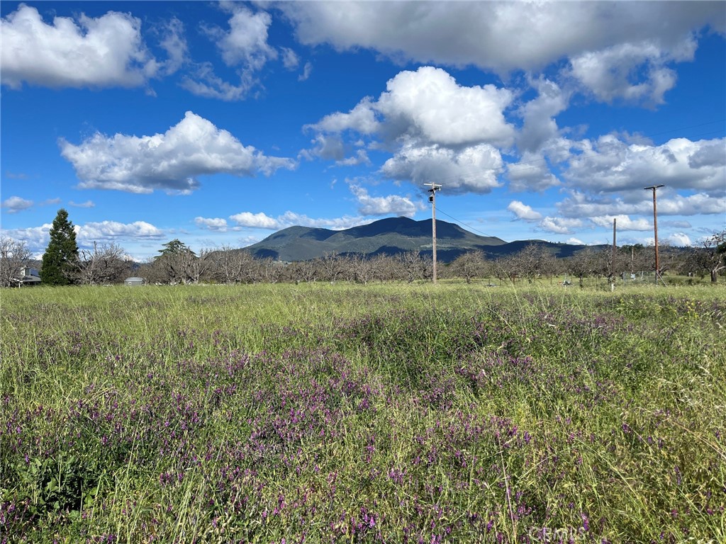 2160 Bell Hill Road Kelseyville, CA 95451 - Photo 14 of 24