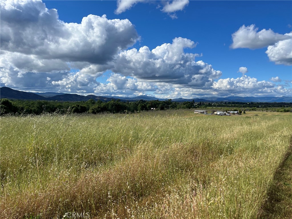 2160 Bell Hill Road Kelseyville, CA 95451 - Photo 15 of 24