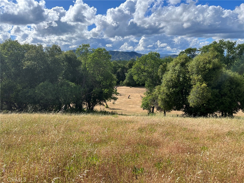 2160 Bell Hill Road Kelseyville, CA 95451 - Photo 18 of 24