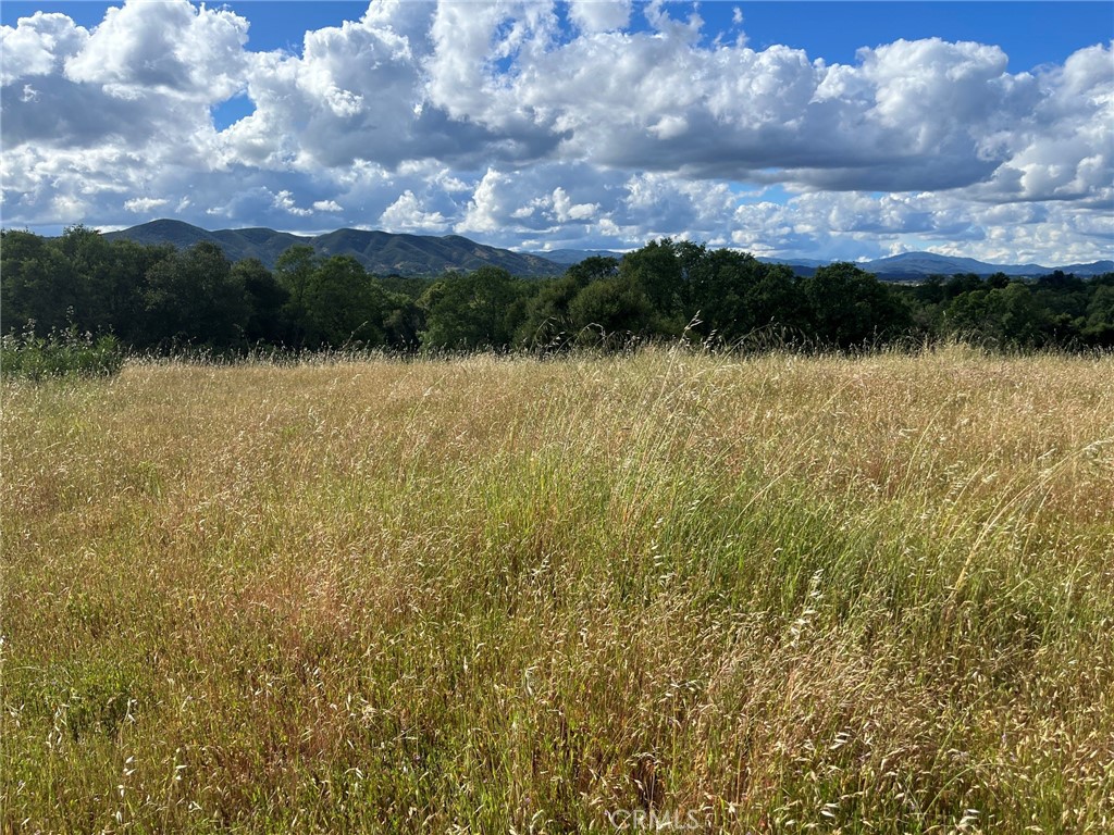 2160 Bell Hill Road Kelseyville, CA 95451 - Photo 19 of 24