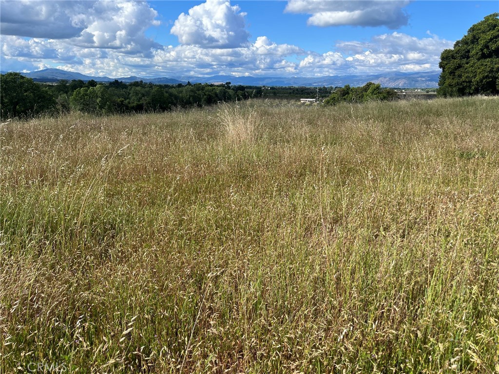 2160 Bell Hill Road Kelseyville, CA 95451 - Photo 20 of 24