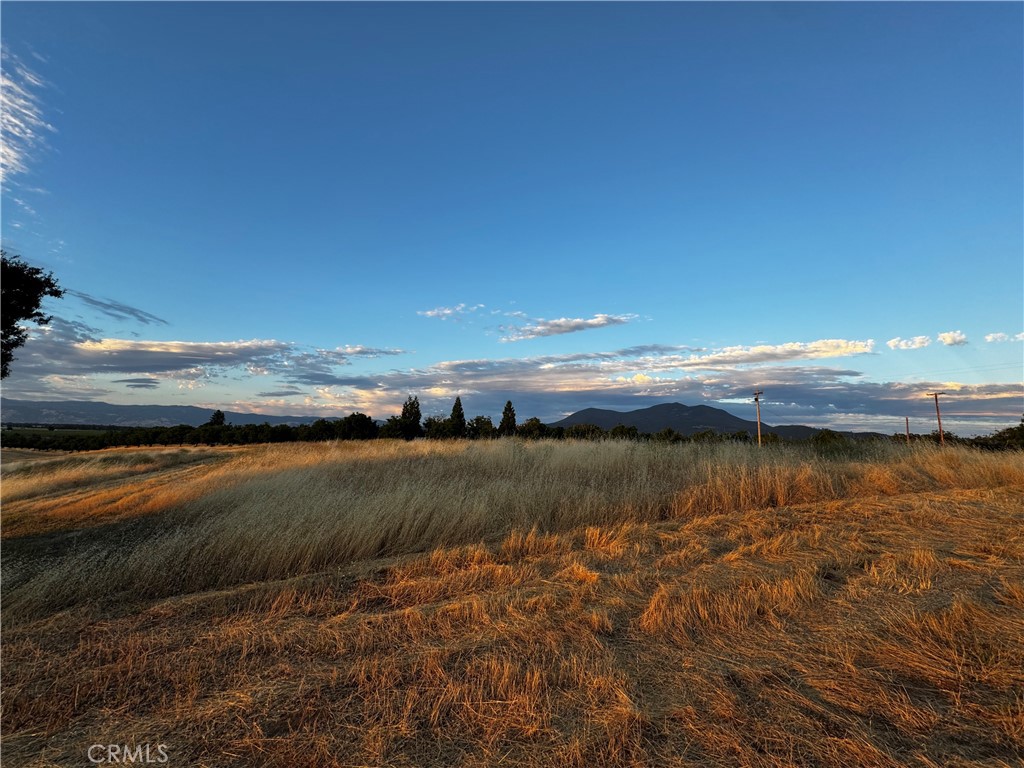 2160 Bell Hill Road Kelseyville, CA 95451 - Photo 5 of 24 When the lighting is right, the summer grasses look amazing.