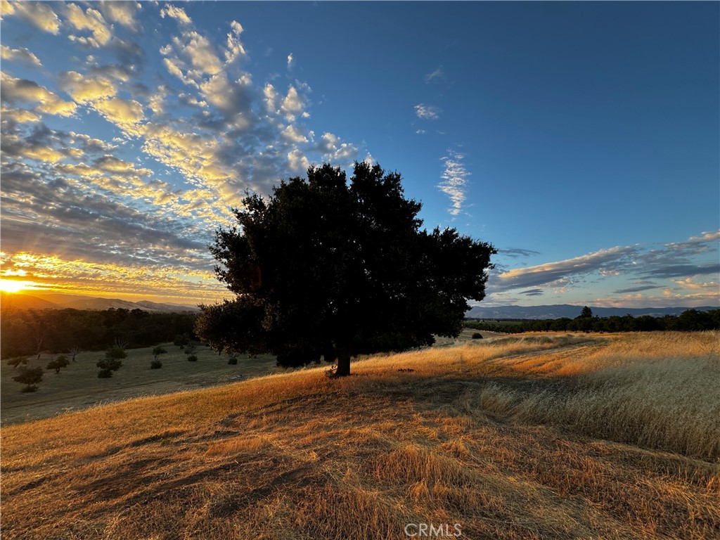2160 Bell Hill Road Kelseyville, CA 95451 - Photo 6 of 24 Visit this property and feel the relaxation.