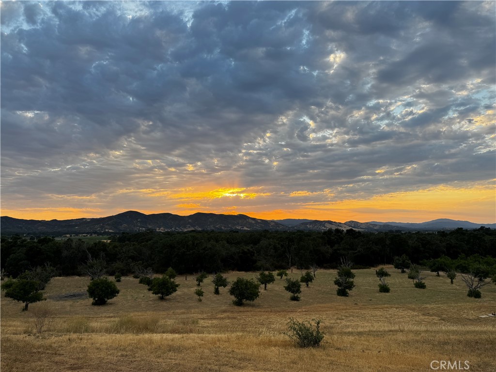 2160 Bell Hill Road Kelseyville, CA 95451 - Photo 9 of 24 This orchard is on the neighbor's property, but you get the view of it and the mountains in the background.