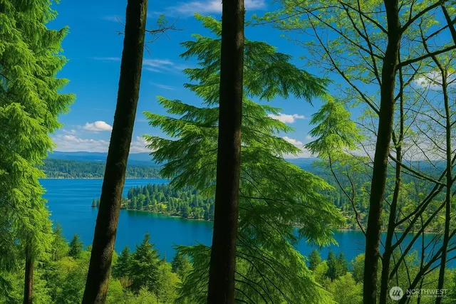 a view of a lake in middle of the house