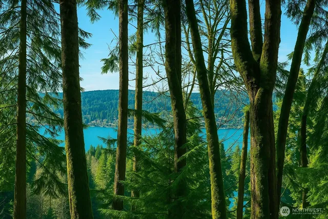 a picture of a door and a window