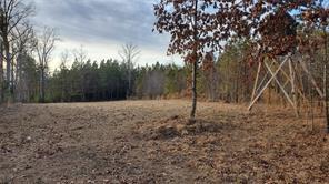 Friend Road Blackstone, VA 23824 - Photo 3 of 26 Gallery Image 3