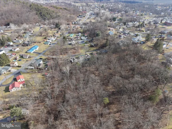 a view of a yard with trees