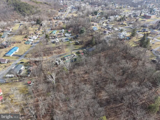 a view of a yard with trees