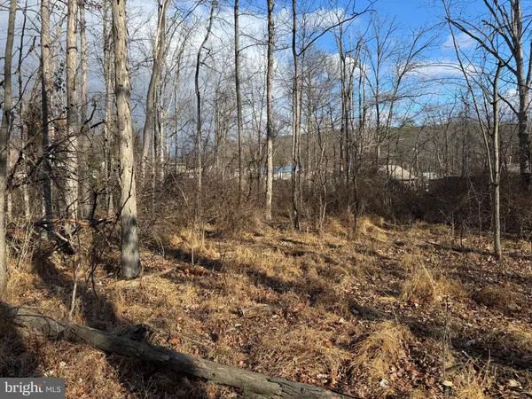 $12,900 | 3 83 /- Acres Ethridge Street, Cumberland, MD 21502