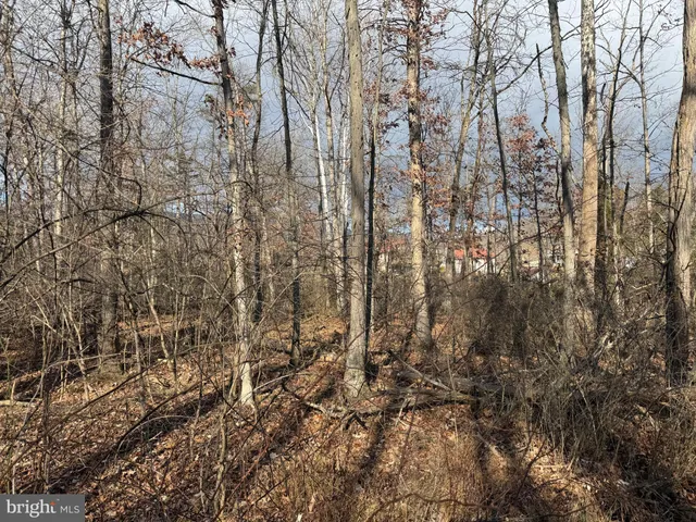 $12,900 | 3 83 /- Acres Ethridge Street, Cumberland, MD 21502