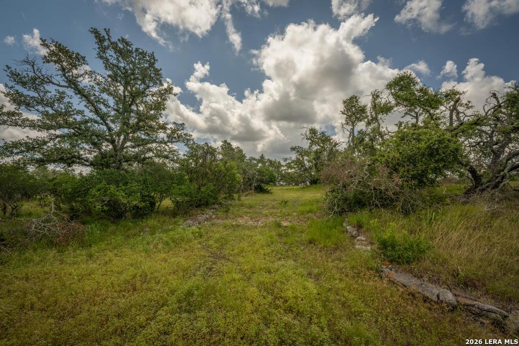 3044 Ridge Crossing Bulverde, TX 78163 - Photo 3 of 12 Gallery Image 3