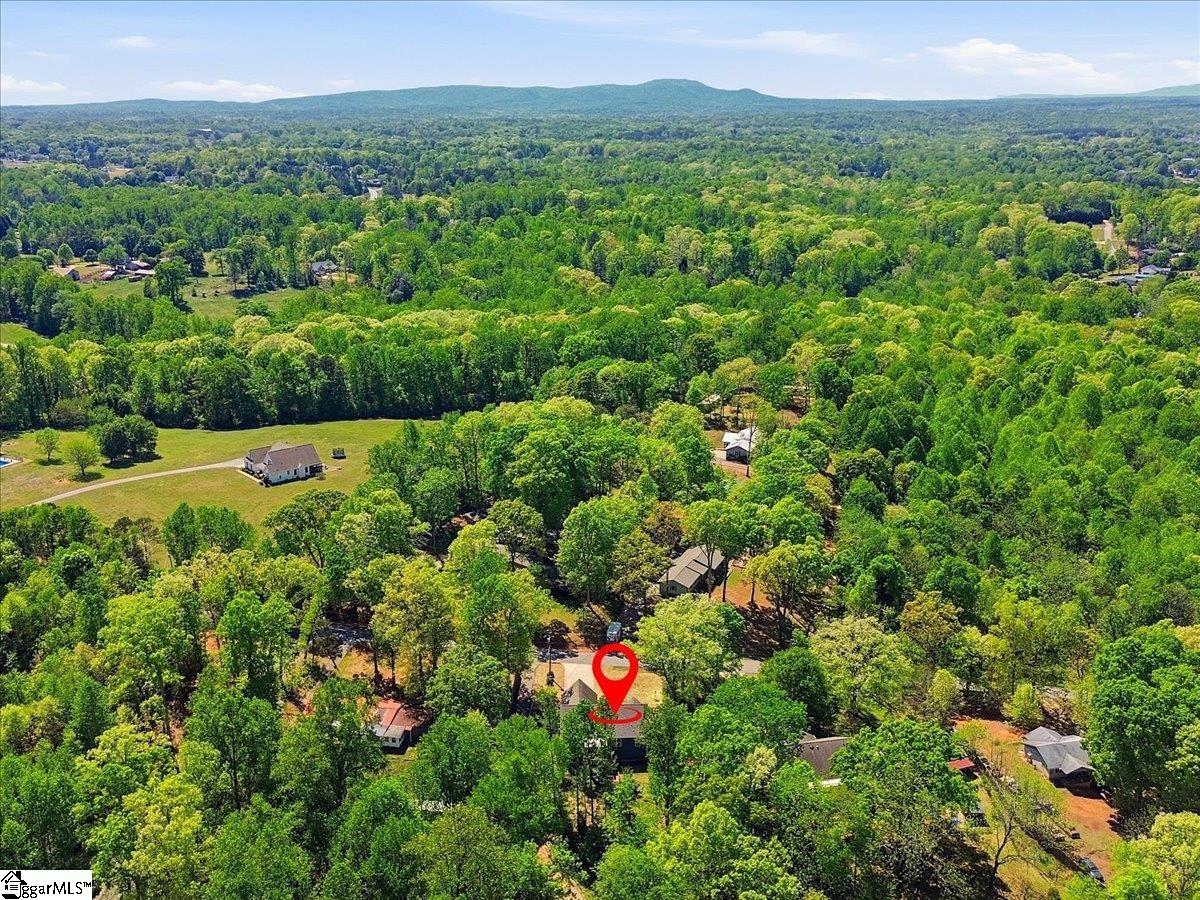 1494 South McElhaney Road Greer, SC 29651 - Photo 41 of 44