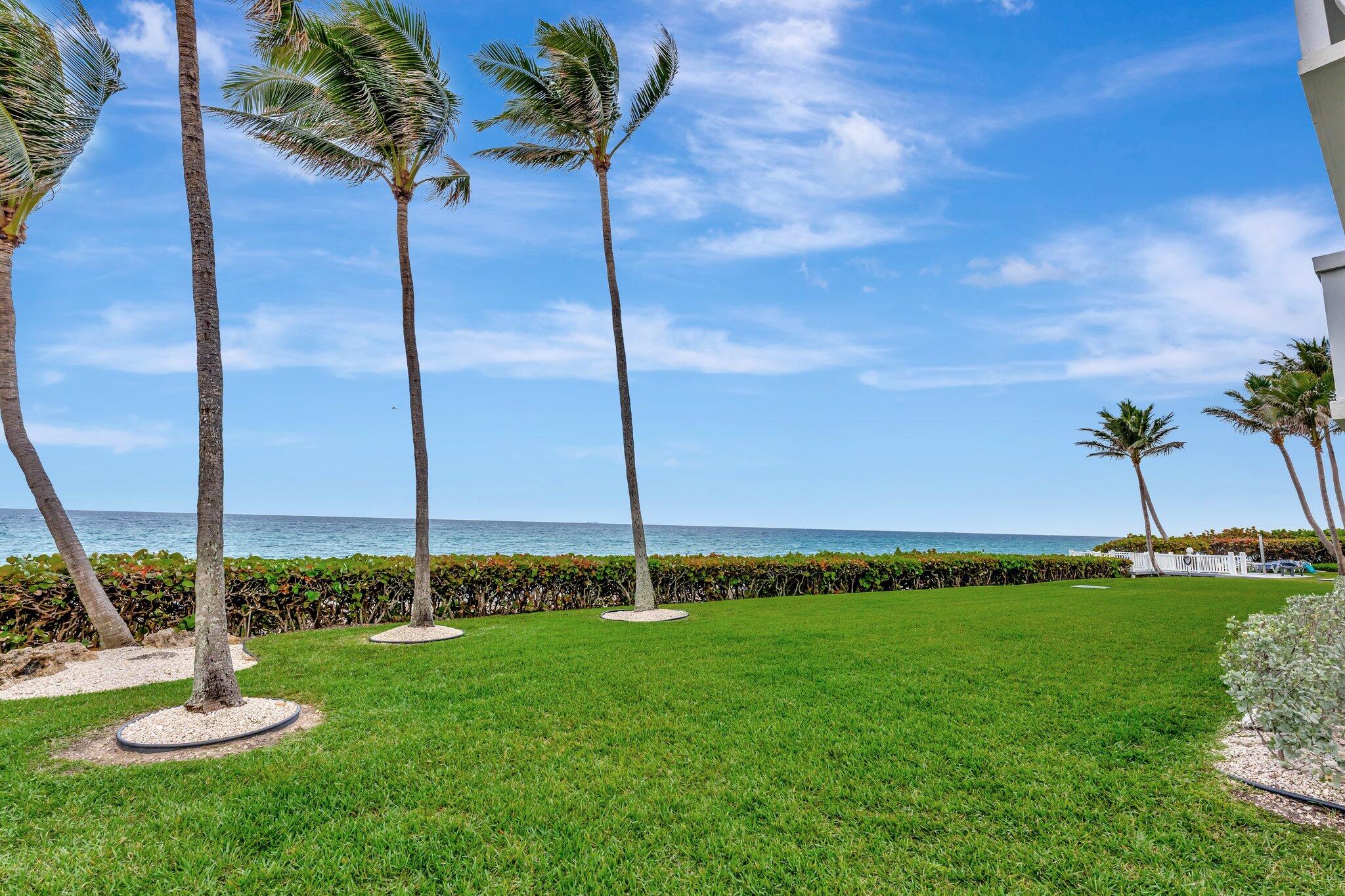1169 Hillsboro Mile, Unit 109 Hillsboro Beach, FL 33062 - Photo 17 of 18 a view of a garden with a tree in the background