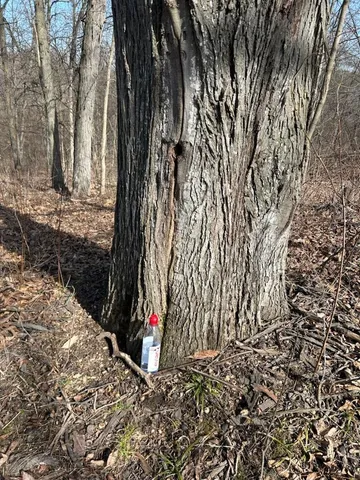 $324,900 | S1205 County Rd Y, Wonewoc, WI 53968